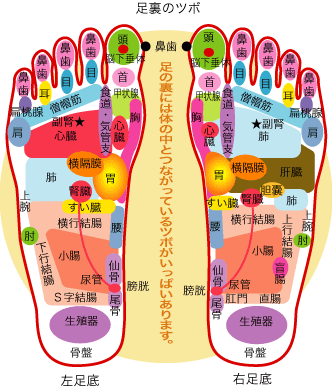 足の裏 痛み ツボ